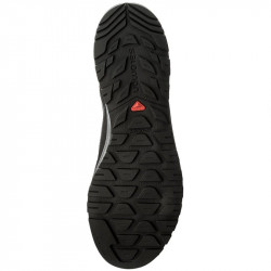 SALOMON X Alp Spry M 40150400